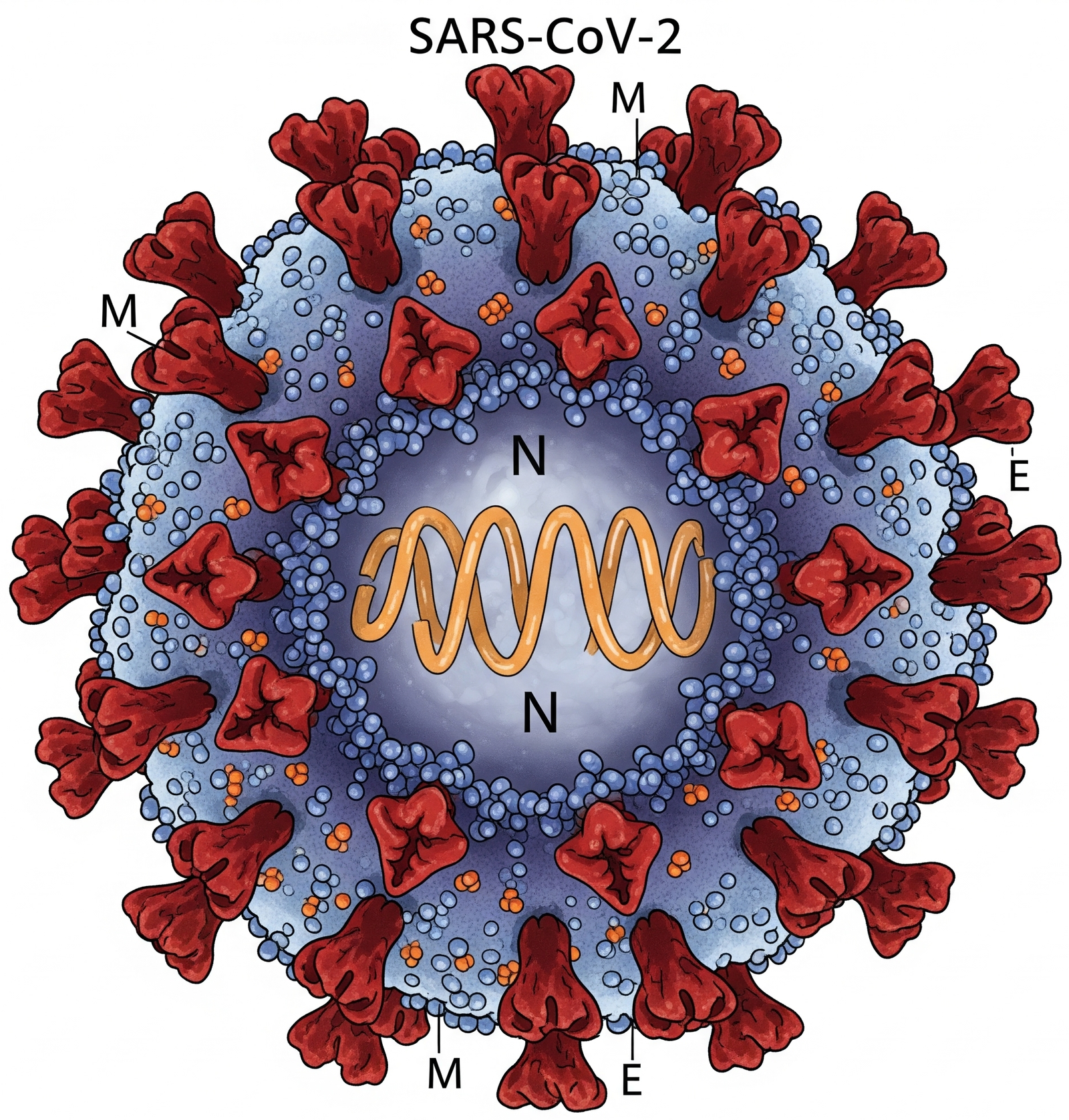 Comprendre l’impact de la COVID-19 et les solutions innovantes